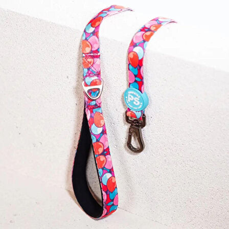 Kedi Köpek Sevk Kayışı / Gezdirme 120 Cm