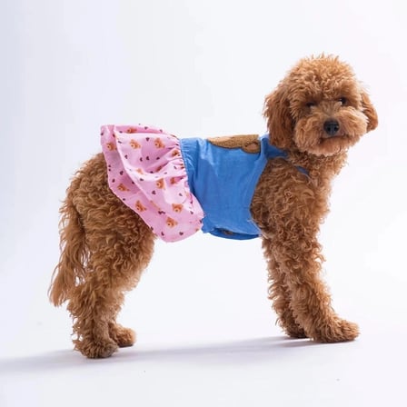 Cozie Bear Denim Kedi Köpek Elbise