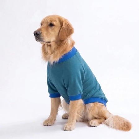 Eeyore Creek Büyük Irk Köpek Sweat
