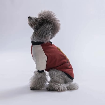 Kahverengi Baby Teddy Kedi Köpek Sweat