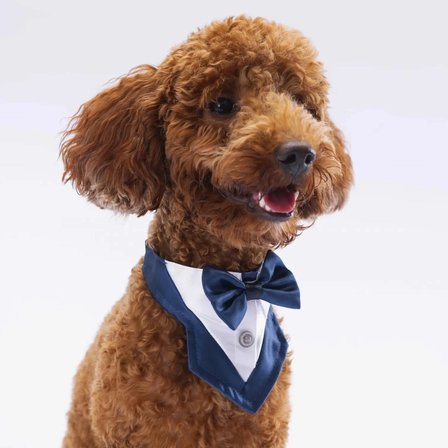 Köpek Smokin Fular