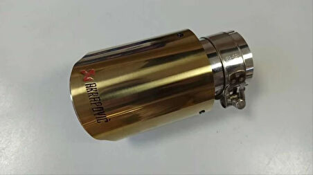 Akrapovic Egzoz Altın Sarısı