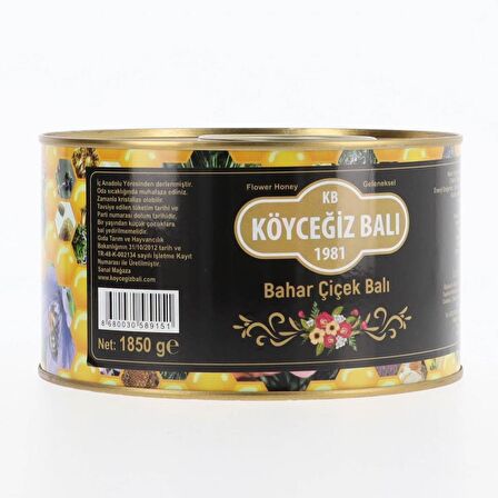 Köyceğiz Balı Bahar Çiçek Balı 1850 G Teneke