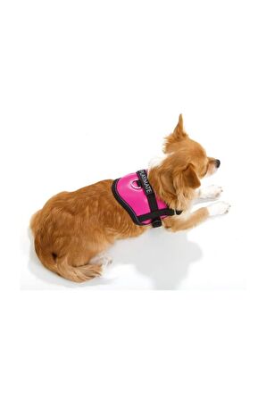 Flamingo Milou Köpek Göğüs Tasması M (40-55 cm) Fu
