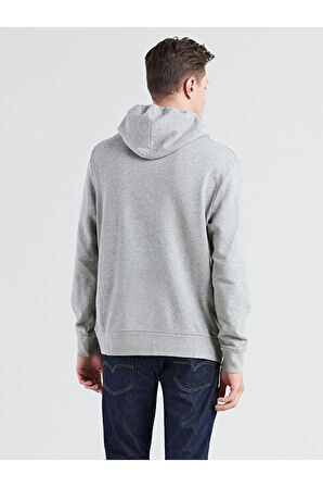 Standard Graphic Hoodie