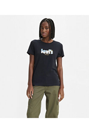 Lse The Perfect Tee Ssnl Poster Logo Dr