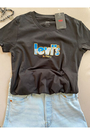 Lse The Perfect Tee Ssnl Poster Logo Dr