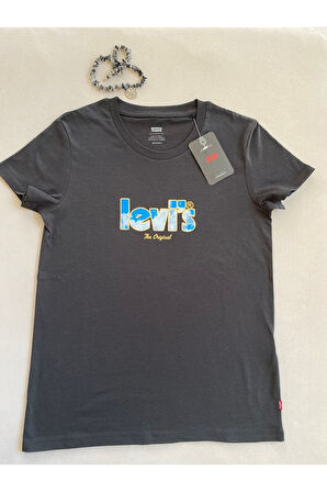 Lse The Perfect Tee Ssnl Poster Logo Dr