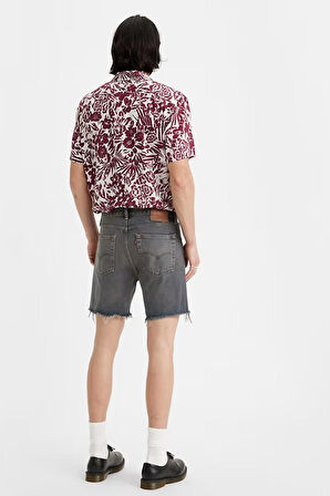 Levi's Erkek Short 85221-0069