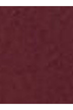 Levi's Erkek Basic Classic Housemark Bordo T-shirt- 56809-0170