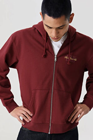 Levi's Erkek Rahat Kesim Fermuarlı Hırka Sweatshirt - 38717-0066