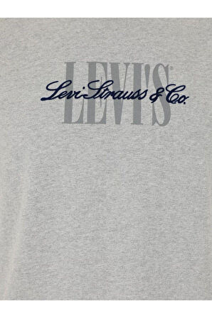 Levi's Erkek Bisiklet Yaka Relaxed Fit Serif Logo Gri T-Shirt - A2082-0297