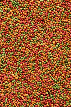 Verselelaga Prestige Muhabbet Yemi 1 Kg + B18 Pelet Yem 250 Gr