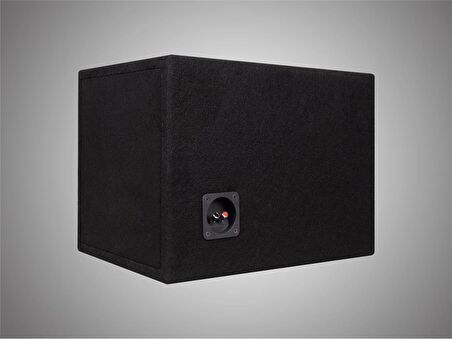 FOR-X XW-2412S4 700RMS SUBWOOFER
