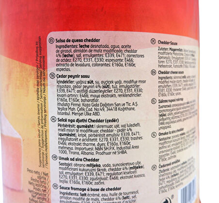 La Fiesta Çedar Peynir Sosu 3 kg