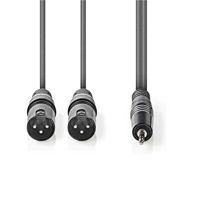 2x XLR 3-Pin Erkek - 3.5 mm Erkek 3m Kablo