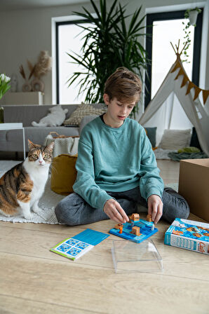 SmartGames Cats and Boxes