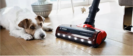Bosch Unlimited Proanimal Serie 6-7-8 Şarjı Süpürge Başlığı Hayvan Tüyü Toplama