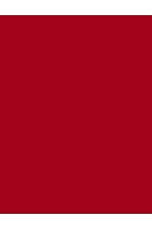 Flormar Kalıcı Mat Stick Ruj - Color Master Sls. - 014 The Red- 8682536018043