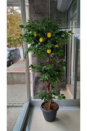 Limon Ağacı 180 Cm Yapay Ağaç Üretim Saksısı