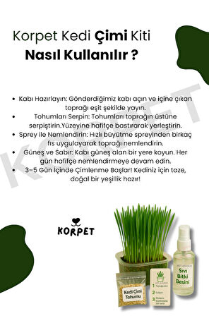 Kedi Otu Çimi Kiti – Evde Yetiştir, Pratik ve Eğlenceli Set 4 Parça 