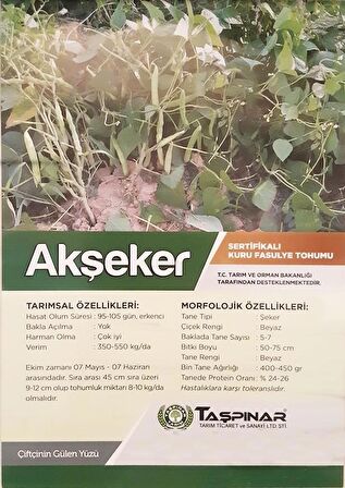 Taşpınar Akşeker Kuru Fasulye Tohumu 1 kg