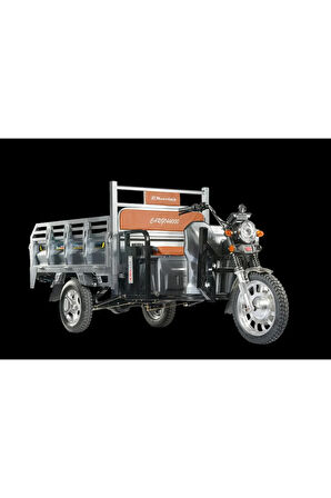 CARGO44000 STANDART ELEKTRİKLİ MOTOSİKLET