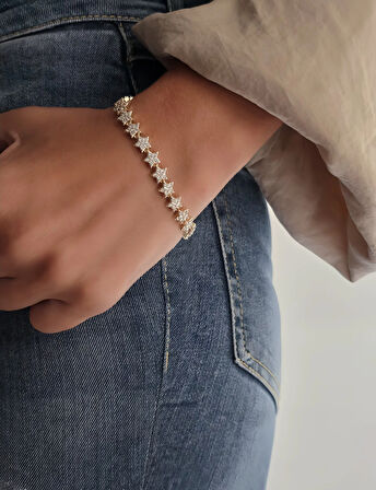 Vip Yıldız Zirkon Taşlı Çit Model 14k Altın Kaplama Çelik Bileklik