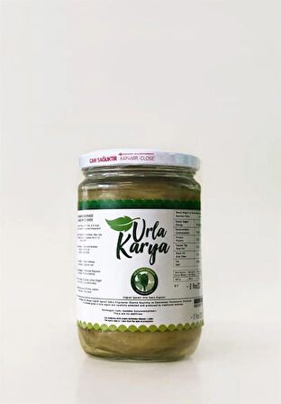 Çanak Enginar Konservesi