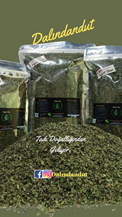 Yeni Mahsül Doğal Nane 1 Kg ( Katkısız)