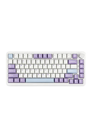 AK820 MAX HE Kablolu Mekanik Oyun Klavyesi, Rapid Trigger, RGB Aydınlatma, Hall Effect