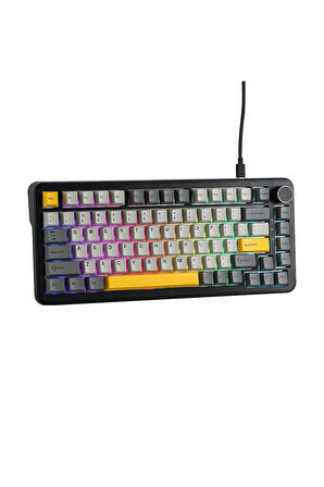 AK820 MAX HE Kablolu Mekanik Oyun Klavyesi, Rapid Trigger, RGB Aydınlatma, Hall Effect