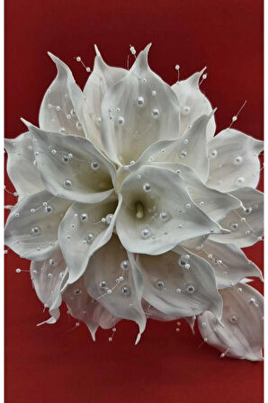 gala sık incili gelin çiçeği