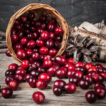 Tüplü Turna Yemişi Fidanı (Cranberry) - 1-2 Yaşında, Şifalı ve Dayanıklı