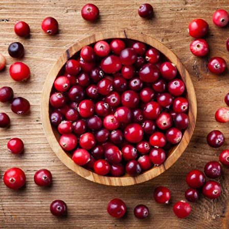 Tüplü Turna Yemişi Fidanı (Cranberry) - 1-2 Yaşında, Şifalı ve Dayanıklı