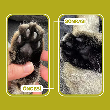 Olivacat Aktif Karbonlu Tozsuz ve Doağl Kedi Kumu 8 L