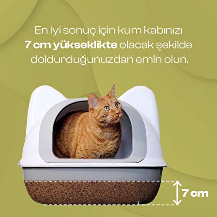Olivacat Aktif Karbonlu Tozsuz ve Doağl Kedi Kumu 8 L