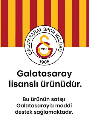 Galatasaray Orijinal Kalemlik   Baskılı Tek Gözlü Kalem Kutusu