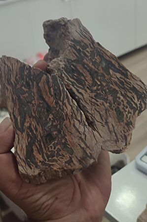 Ağaç Fosili Agate Stone Çift Koleksiyonluk Parça 1095 gr