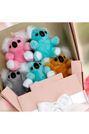 Renkli Koala Ayıcık Buketi