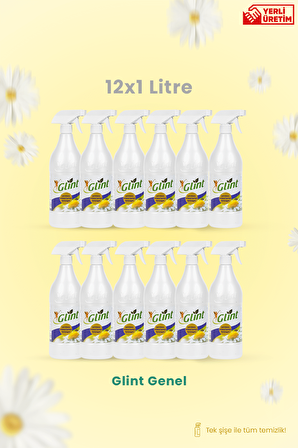 Glint  12 X 1 Lt. Çok Amaçlı Temizleyici Leke Çıkarıcı