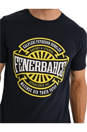 FENERBAHÇE ORİJİNAL LİSANSLI ERKEK TRİBÜN KALPLERİ FETHEDEN RENK ERKEK T-SHİR