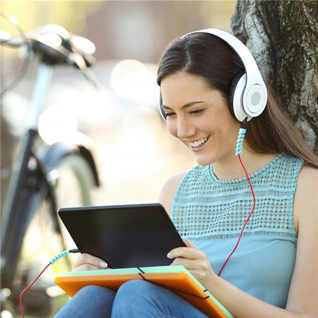4&amp;#39;lü Apple, Android Şarj Kablosu Koruyucu Silikon Spiral Yay Aparat (5477)
