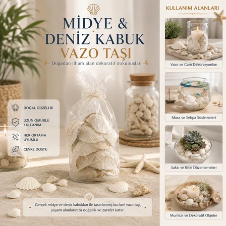 POŞETLİ RENKLİ MİX MİDYE - DENİZ KABUK VAZO TAŞI (5566)