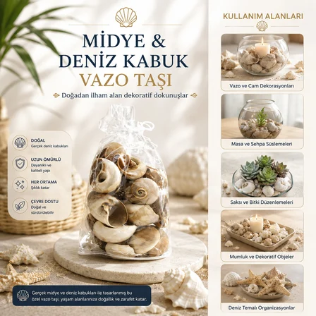 POŞETLİ RENKLİ MİX MİDYE - DENİZ KABUK VAZO TAŞI (5566)