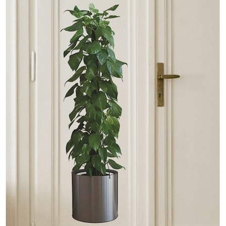 Saksılı Bitki Tasarımlı Yapışkanlı Sticker Resim 90*30 cm (5477)