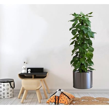 Saksılı Bitki Tasarımlı Yapışkanlı Sticker Resim 90*30 cm (5477)