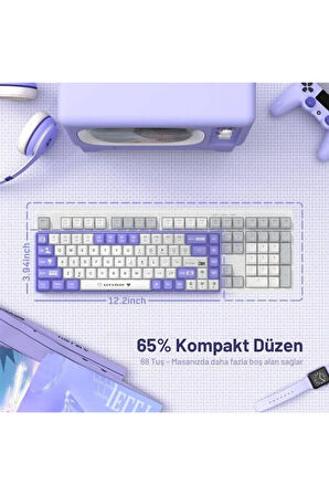 Ak680 Kırmızı Switch Hot-swap Kablolu Mekanik Oyuncu Gaming Klavye
