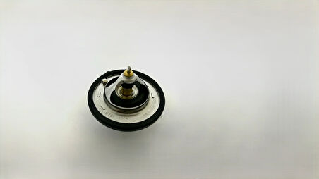 TERMOSTAT ACCENT BLUE/İ10/İ20/İ30/CERATO/ELANTRA