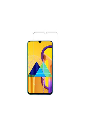 Telbor Samsung Galaxy M30s Nano Cam Ekran Koruyucu Şeffaf Extra Darbe Emici - Extra İnce
